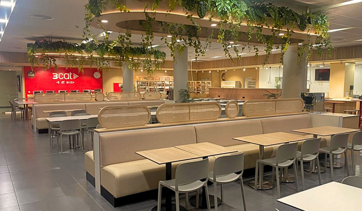 Cafeteria restaurante TV3 catalunya, sillas pedrali Cubiñá